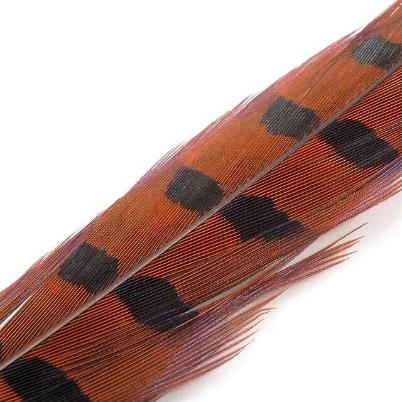 Wapsi Ringneck Pheasant Tail Feathers – Sea-Run Fly & Tackle